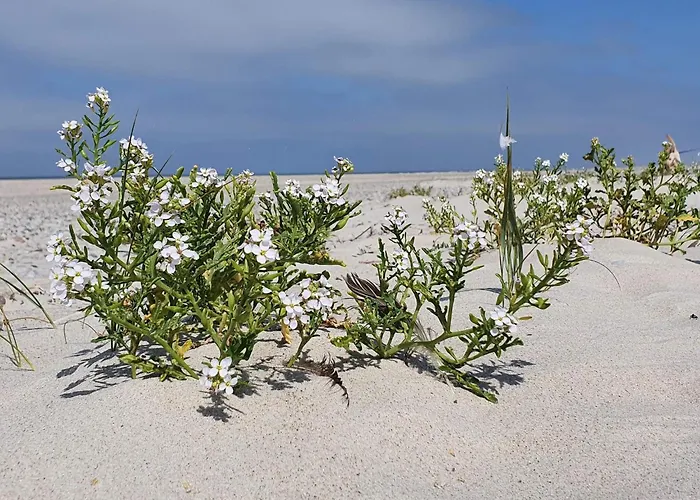 6 Person In Feriehus