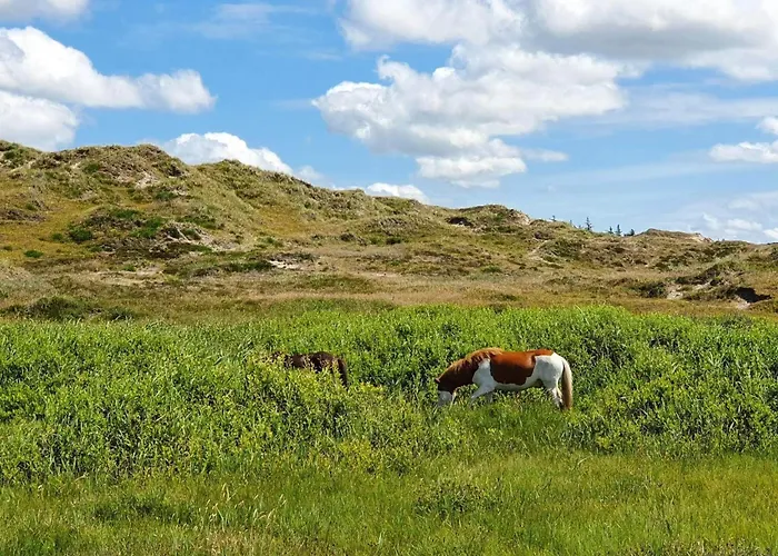 Ferienhaus 6 Person In