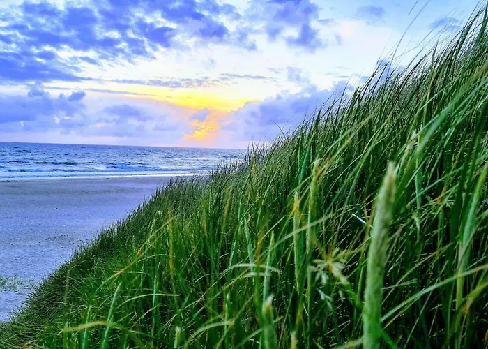 Feriehus 6 Person In *